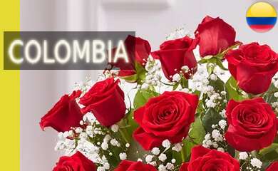 Envío de Flores y Regalos a Colombia