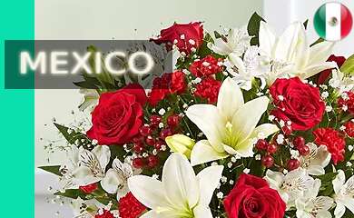 ENVIO DE ARREGLOS FLORALES Y ENVIO DE FLORES A MEXICO